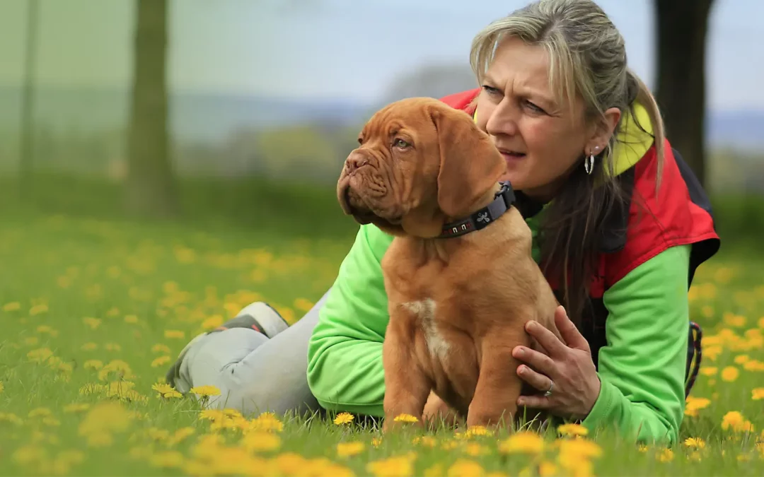 Suspendisse maximus lacus ac dui sodales efficitur